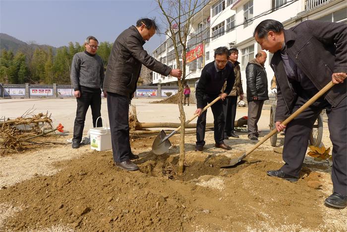 岳西義務植樹232萬株